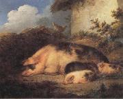 George Morland A Sow and Her Piglets oil painting